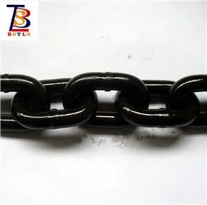 7.1 X 21 मिमी मिश्र धातु इस्पात उत्थापन श्रृंखला