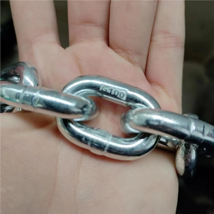 Industrial Conveying G100 Load Chain Manufacture Supplied